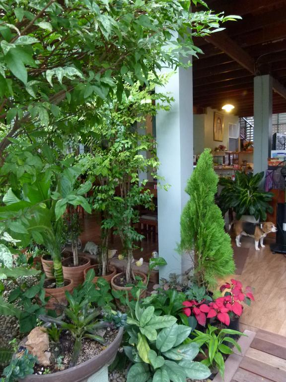 Ban Boonchu Acomodação com café da manhã Phra Nakhon Si Ayutthaya Exterior foto